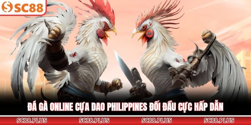 Đá gà online cựa dao Philippines đối đầu cực hấp dẫn